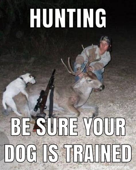 Funny Hunting Review 2024